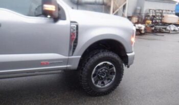 
										2023 F350 Platinum Auto 4×4 full									