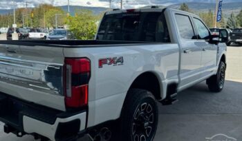 
										2023 Ford F250 Platinum Auto 4×4 full									