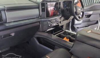 
										2024 Ford F250 Platinum Auto 4×4 full									