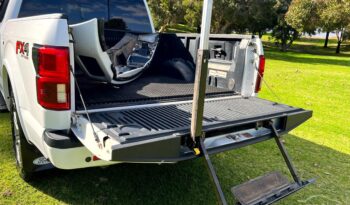 
										2019 Ford F-150 Lariat Auto 4WD MY19 full									